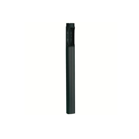 001DIR-CNP